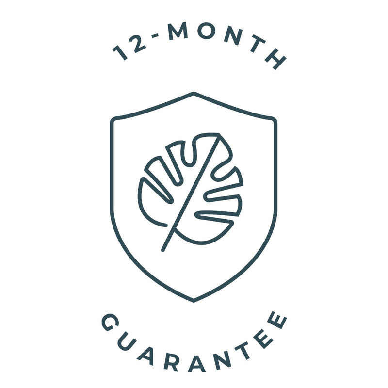 12-month guarantee