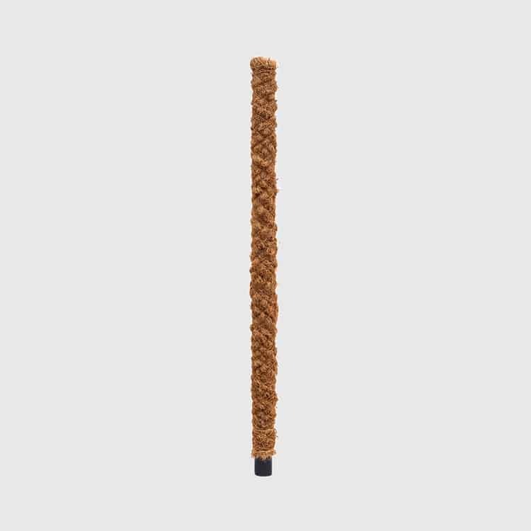 Moss Pole