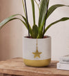 Red Orchid & White Pot