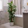 Cool Grey Air Purifying Bundle