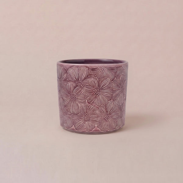Pink Cosmos Pot 14cm