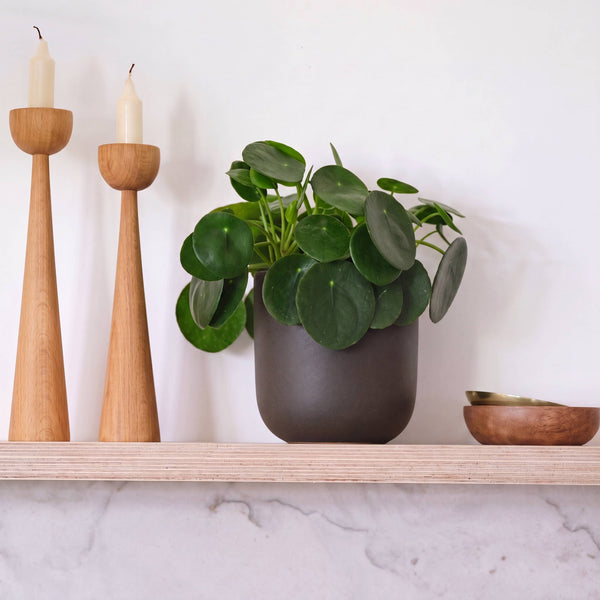 Graphite Earthenware Pot (14cm)