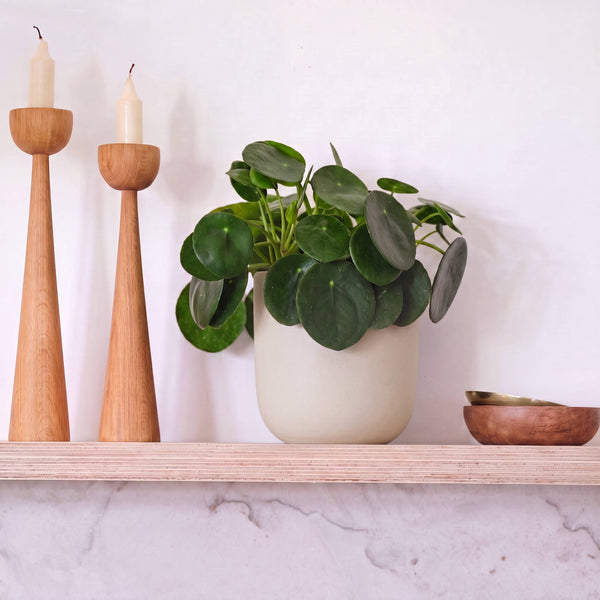 Oyster Earthenware Pot (14cm)