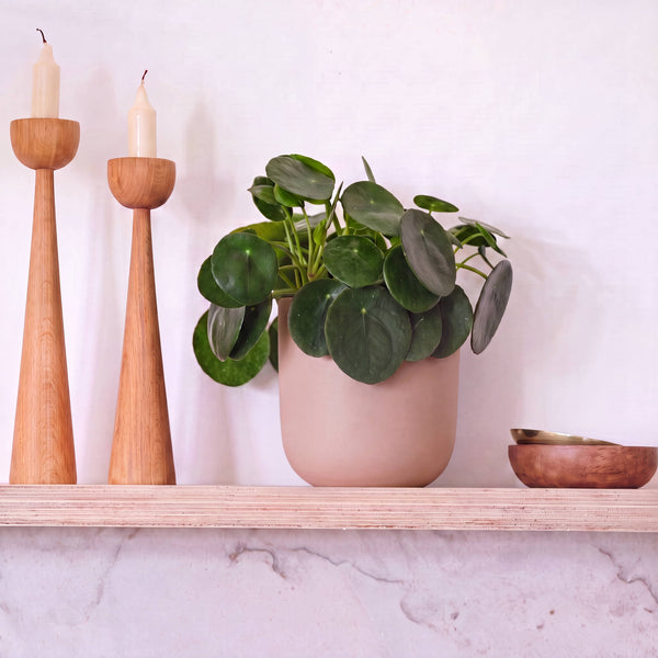 Pink Clay Earthenware Pot (14cm)