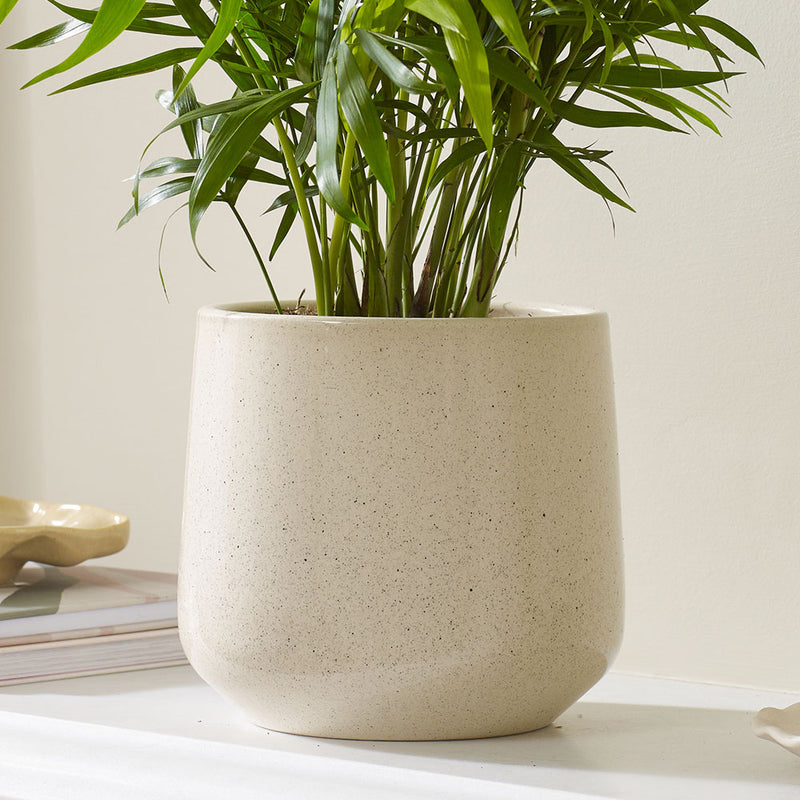 Beige Gloss Pot 14cm