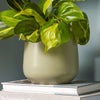 Pistache Matte Pot 14cm
