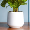 White Matte Pot 14cm