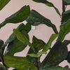 Artificial Fiddle-leaf Fig Tree