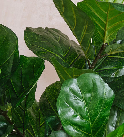best artificial fiddle leaf fig tree uk Artificial Fiddle-leaf Fig Tree