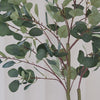 Artificial Eucalyptus Tree