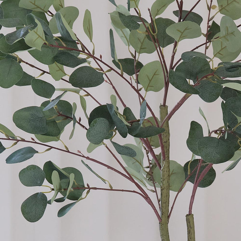 Artificial Eucalyptus Tree