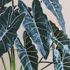 Artificial Large Alocasia Polly