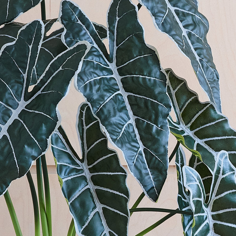 Artificial Large Alocasia Polly