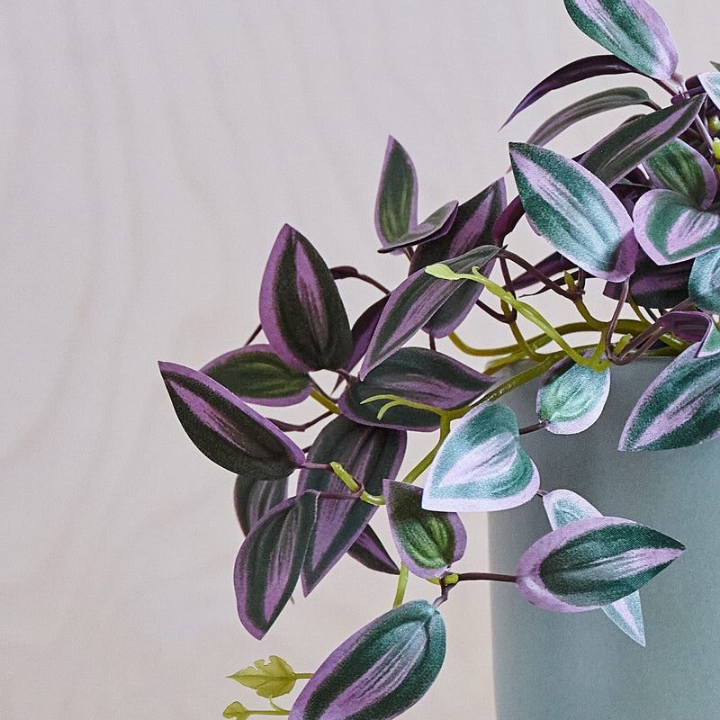 Artificial Tradescantia