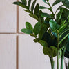 Artificial ZZ Plant