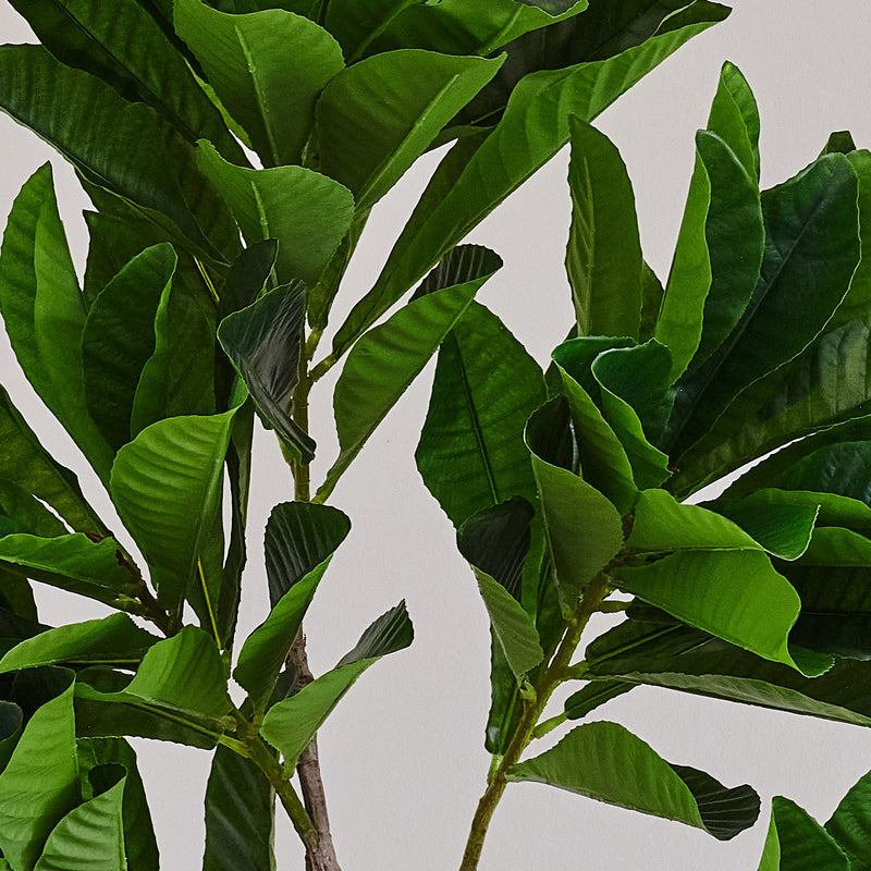 Artificial Frangipani Tree