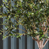 Artificial Olive Tree
