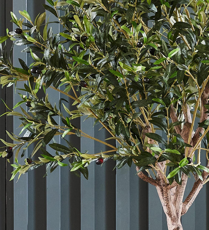 Artificial Large Olive Tree | Realistic Indoor Faux Tree