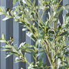 Artificial Olive Tree