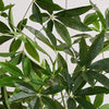 Artificial Money Tree