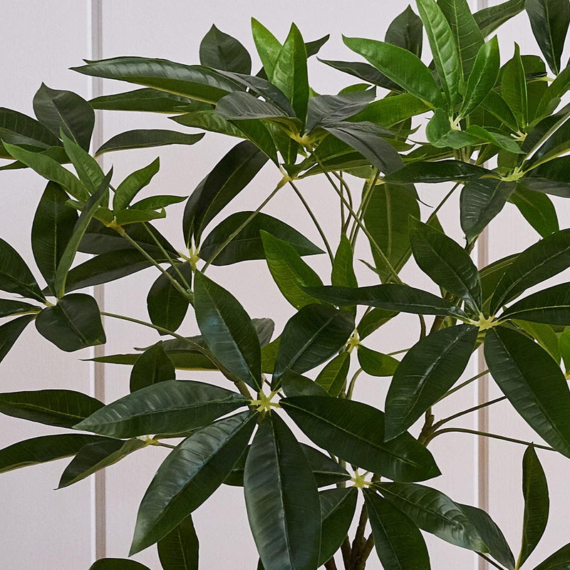 Artificial Pachira (Twisted Stem)