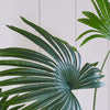 Artificial Livistona Palm