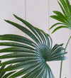 Artificial Livistona Palm