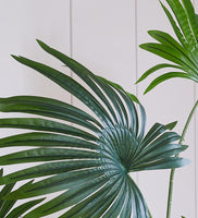 Artificial Livistona Palm