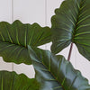 Artificial Alocasia Colocasia