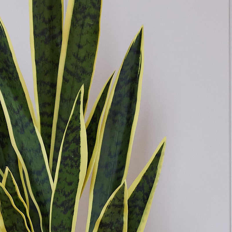 Artificial Snake Plant
