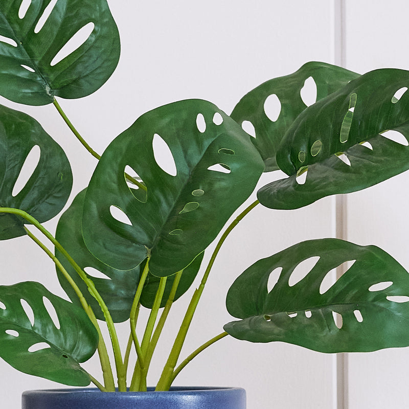 Artificial Monstera Monkey