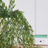 Artificial Bamboo Hanging