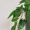 Artificial Philodendron