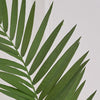 Artificial Large Kentia Palm