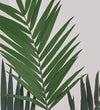 Artificial Kentia Palm