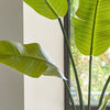 Artificial Bird of Paradise