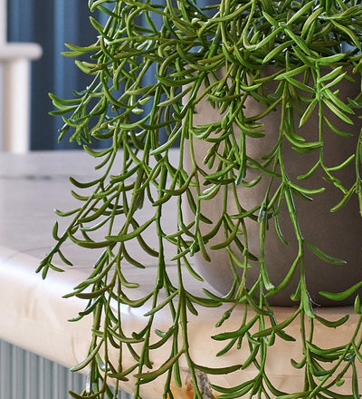 Artificial String of Dolphins Hanging