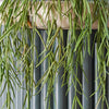 Artificial Hoya Linearis Hanging
