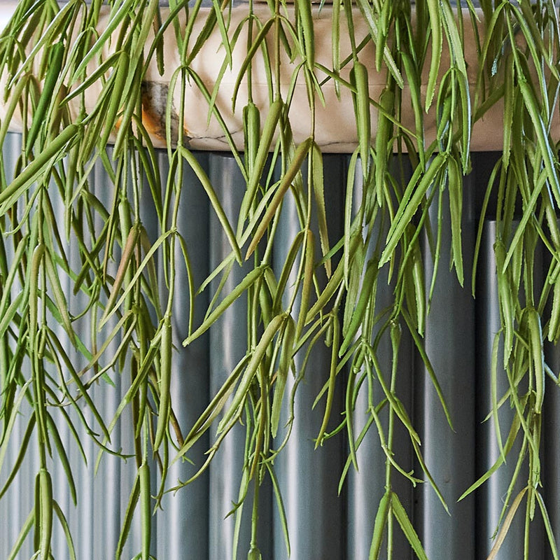 Artificial Hoya Linearis Hanging