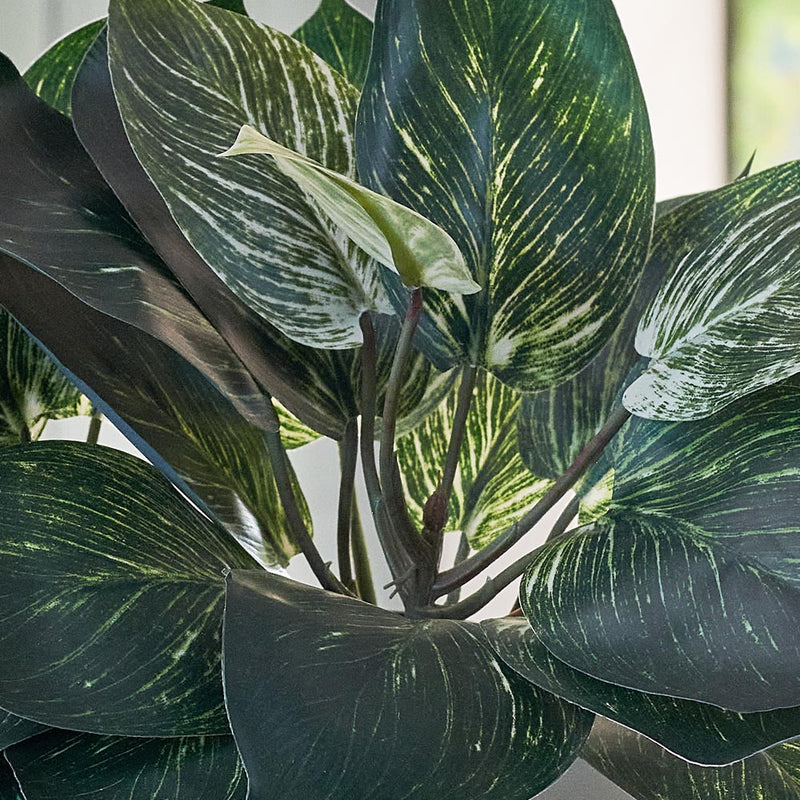 Artificial Pothos