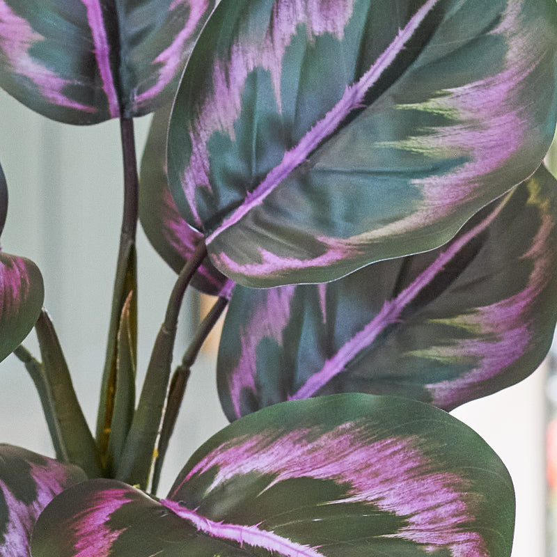 Artificial Rose Painted Calathea