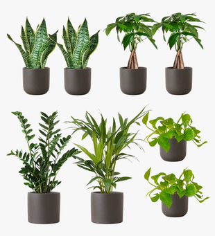 Graphite Earthenware Desktop Bundle