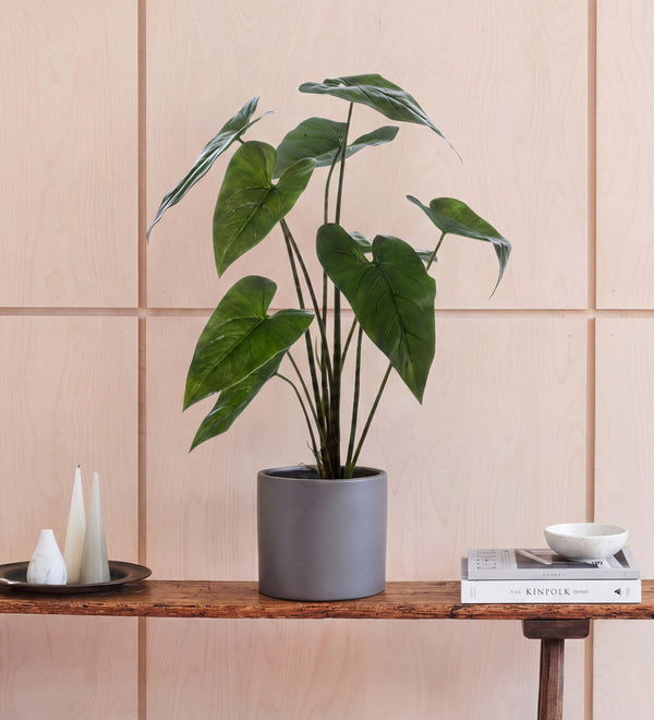 New In Artificial Plants