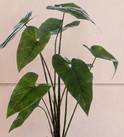 Artificial Alocasia Zebrina