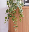 Artificial Hanging English Ivy