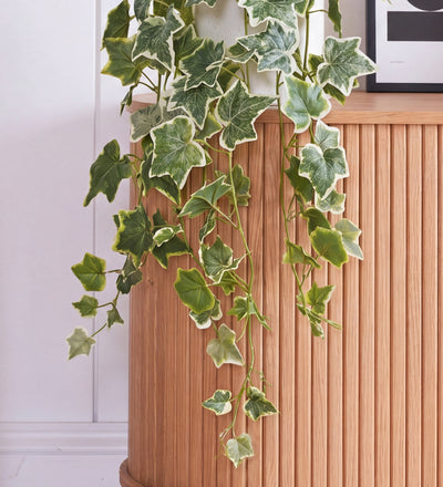 Artificial Hanging English Ivy