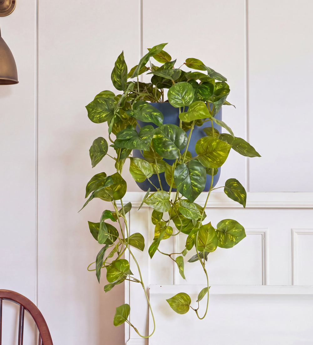 Artificial Trailing Devil's Ivy