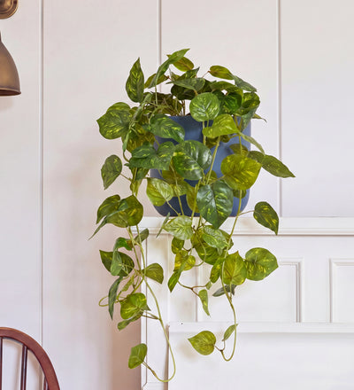Artificial Trailing Devil's Ivy
