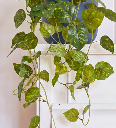 Artificial Trailing Devil's Ivy