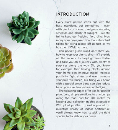 The Little Book For Plant Parents
